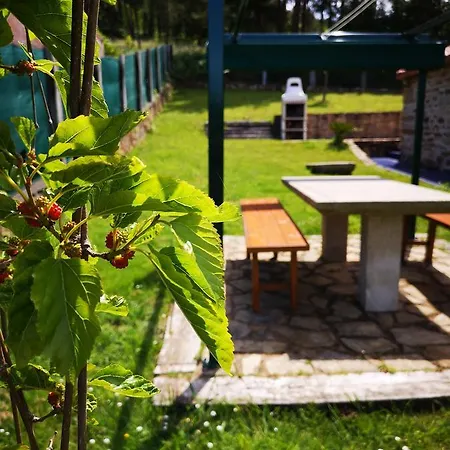 Pedracuca - Costa Da Morte * Neaño